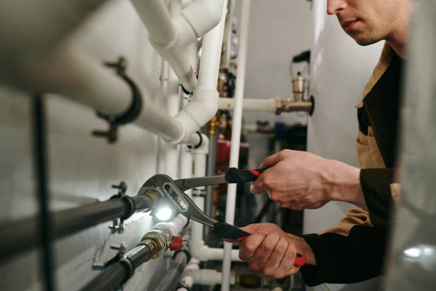 Best Toilet Repair Services  in Daleville, IN