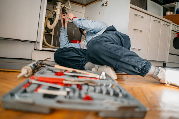 Best Affordable Plumber Near Me  in Daleville, IN