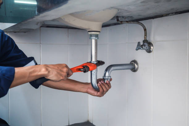Best Residential Plumbing Services  in Daleville, IN