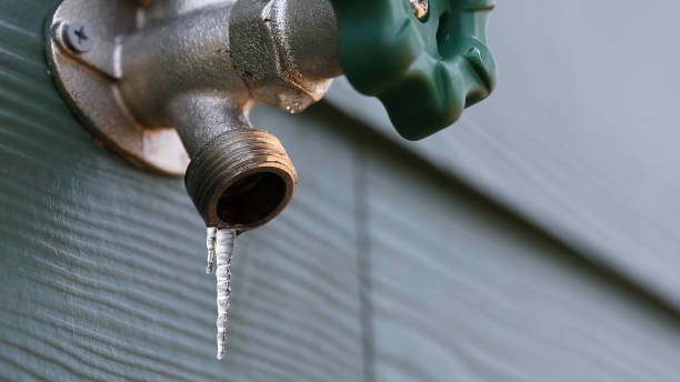 Best Drain Cleaning Services  in Daleville, IN