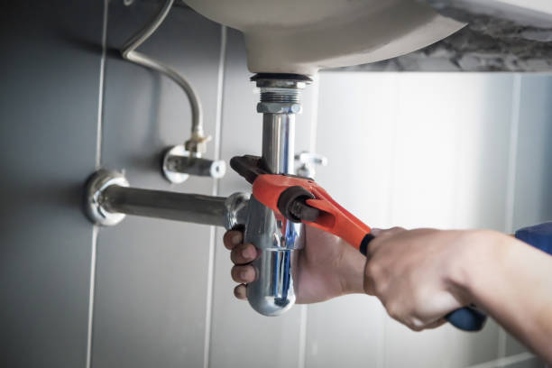 Best Plumbing Inspection Services  in Daleville, IN