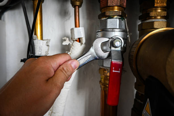 Best Local Plumber Services  in Daleville, IN